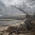 Shipwreck